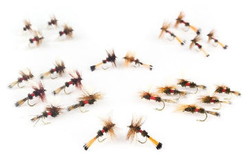 Royal Family Assortment - 24 flies 40 - Hazy Fly Fishing