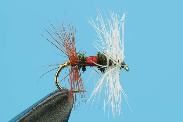 Royal Renegade - Hazy Fly Fishing