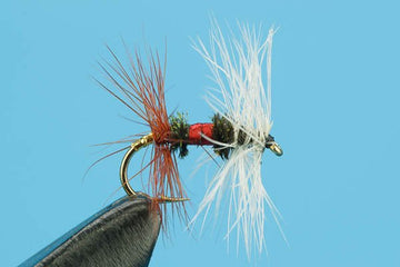 Royal Renegade - Hazy Fly Fishing