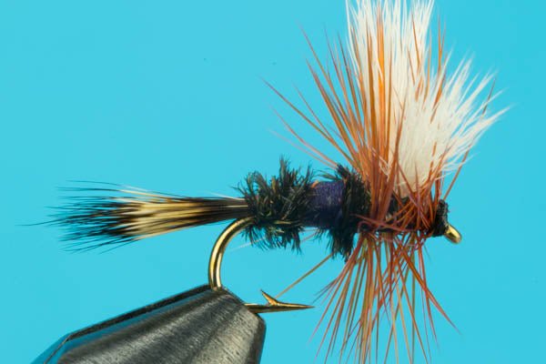 Royal Wulff Purple - Hazy Fly Fishing