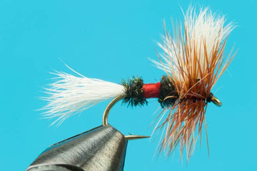 Royal Wulff White Tail - Hazy Fly Fishing
