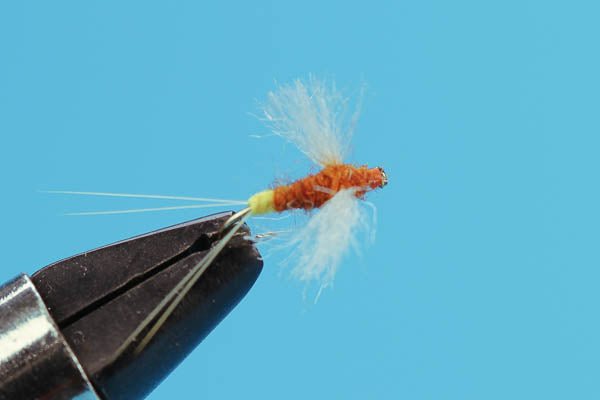 Rusty Spinner Egg Sack - Hazy Fly Fishing