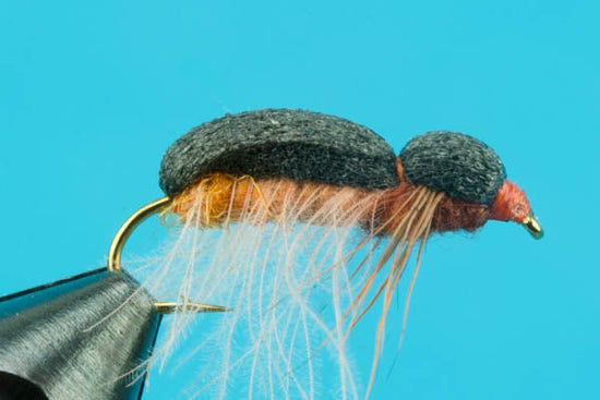 Sailor Beetle - Hazy Fly Fishing