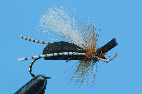 San Juan River Ant - Hazy Fly Fishing