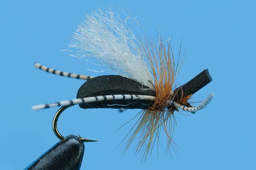 San Juan River Ant - Hazy Fly Fishing