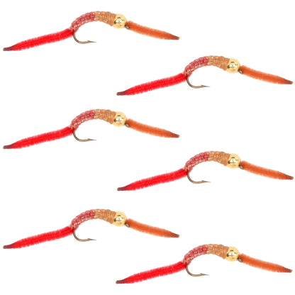 San Juan Worm Gold Bead Power Worm Half and Half - Set of 6 Nymph Flies Hook Size 12 - Hazy Fly Fishing