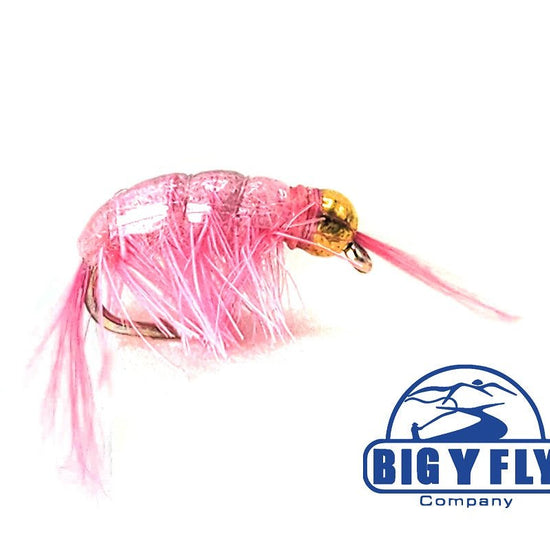 Scud - Beadhead - Hazy Fly Fishing