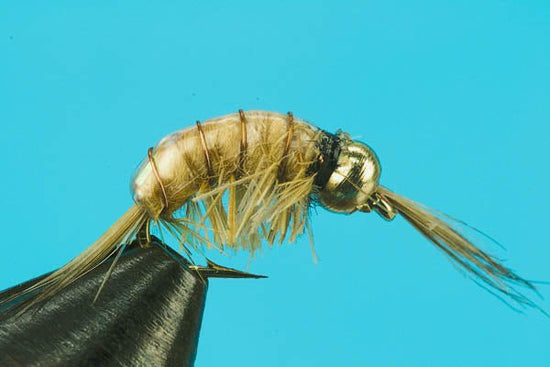 Scud - Beadhead - Hazy Fly Fishing