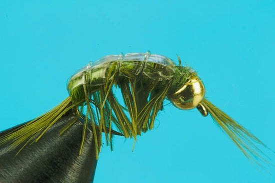 Scud - Beadhead - Hazy Fly Fishing