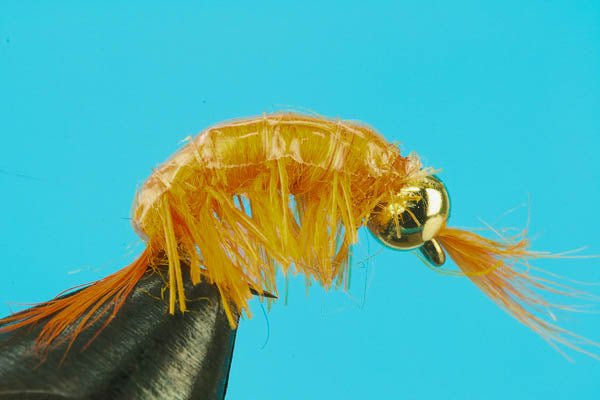 Scud - Beadhead - Hazy Fly Fishing
