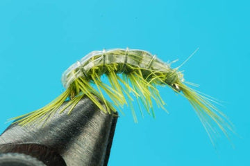 Scuds - Hazy Fly Fishing