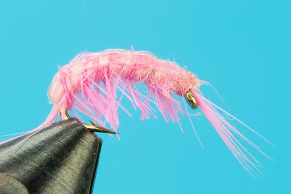 Scuds - Hazy Fly Fishing