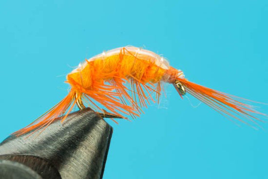 Scuds - Hazy Fly Fishing
