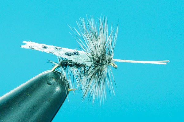 Sedge Lime - Hazy Fly Fishing