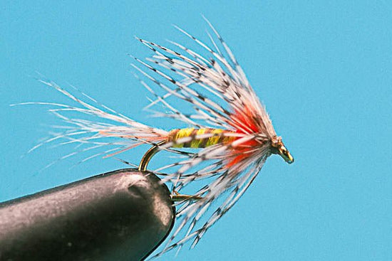 Shakey Bakey - Hazy Fly Fishing