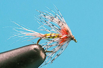Shakey Bakey - Hazy Fly Fishing
