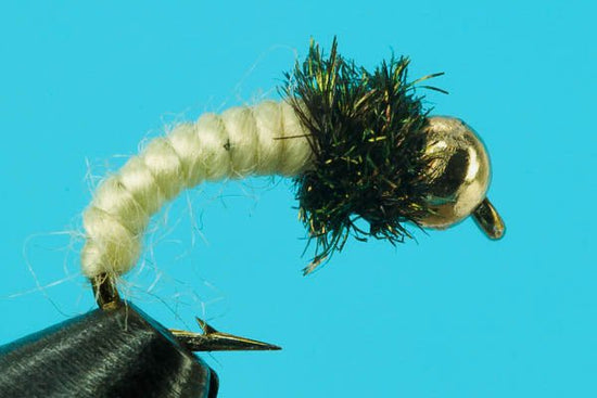 Shark's Caddis Larva - Beadhead - Hazy Fly Fishing
