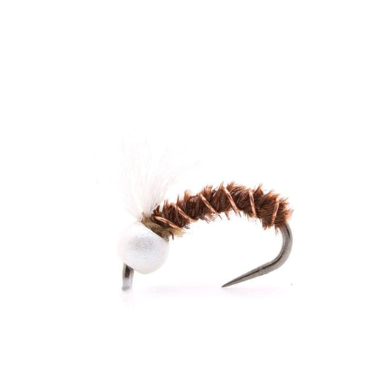 Shop Vac - Hazy Fly Fishing