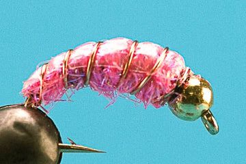 Shrimp - Beadhead - Hazy Fly Fishing