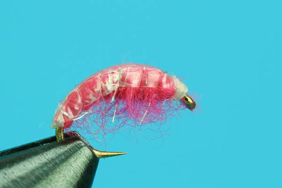 Shrimp Scud - Hazy Fly Fishing