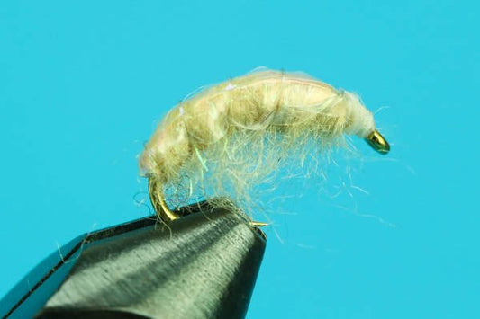 Shrimp Scud - Hazy Fly Fishing