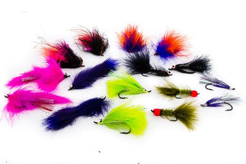 Silver Salmon Assortment 16 flies 46 - Hazy Fly Fishing