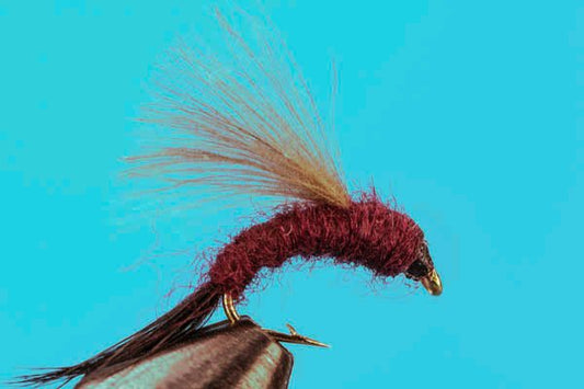 Slate Drake Emerger CDC - Hazy Fly Fishing