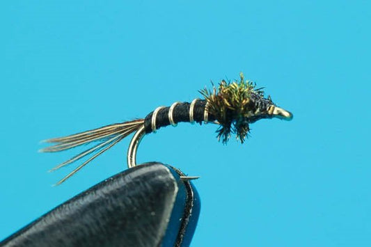 Slim Pickens - Hazy Fly Fishing