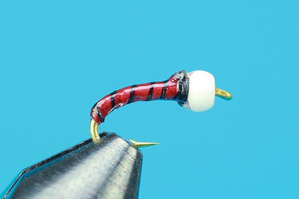 Snow Cone - Beadhead - Hazy Fly Fishing