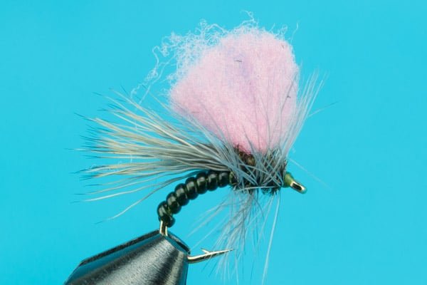 Snow Shoe Hi - Vis Caddis - Hazy Fly Fishing