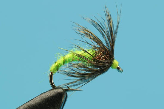 Soft Hackle Caddis - Hazy Fly Fishing