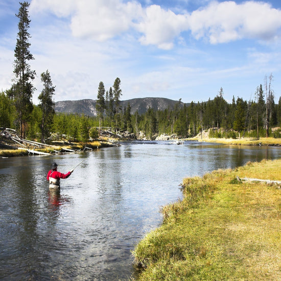 Soft Hackle Partridge and Orange Fly Fishing Wet Flies - 6 Flies Hook Size 16 - Hazy Fly Fishing