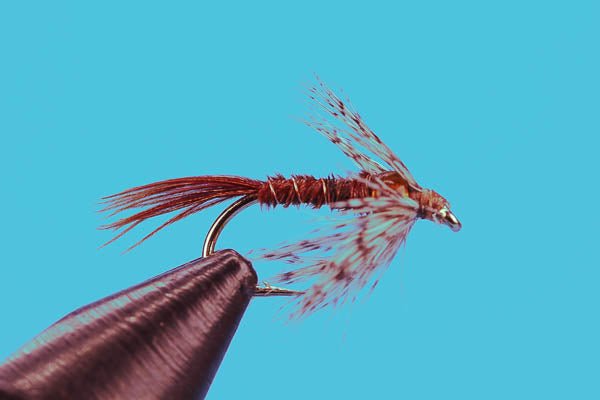 Soft Hackle Pheasant Tail Glass Bead - Hazy Fly Fishing