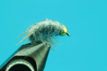 Sow Bug - Beadhead - Hazy Fly Fishing