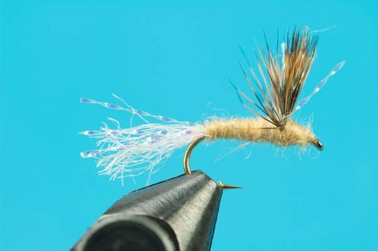 Sparkle Duns - Hazy Fly Fishing