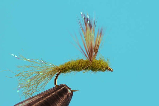 Sparkle Duns - Hazy Fly Fishing