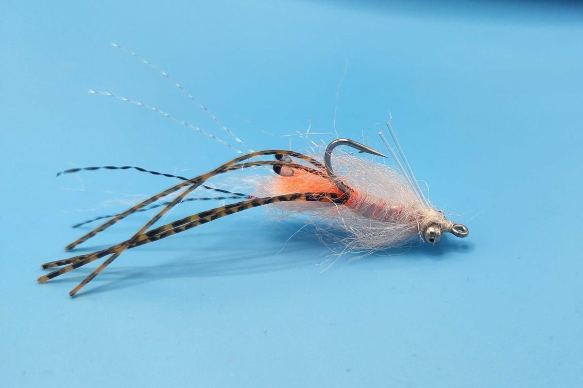 Spawning Shrimp - Shallow - Hazy Fly Fishing