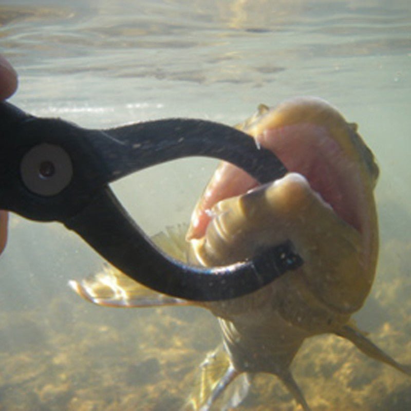 Special Blend Lippa4Life - Hazy Fly Fishing