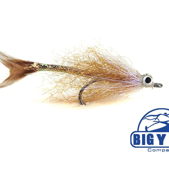 Speedy! - Hazy Fly Fishing