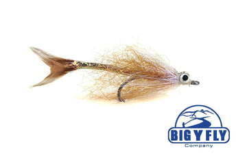 Speedy! - Hazy Fly Fishing