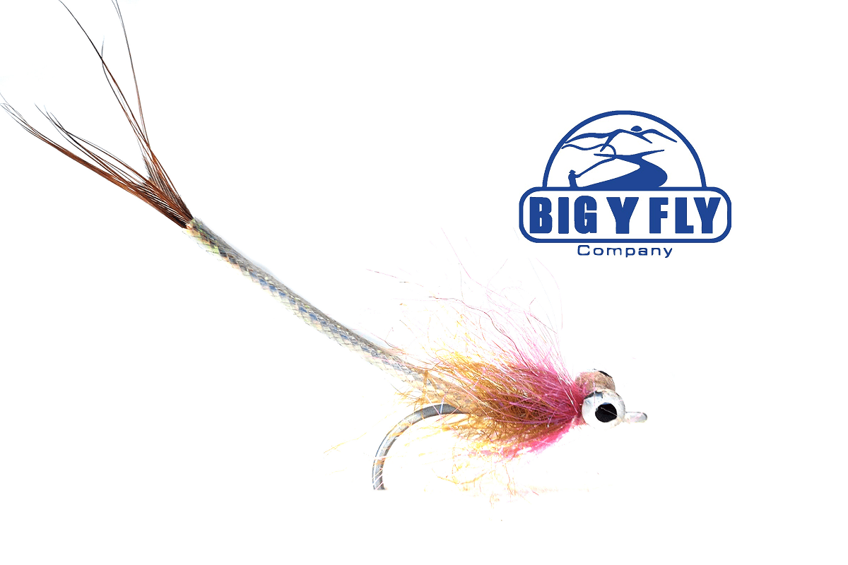 Speedy! - Hazy Fly Fishing