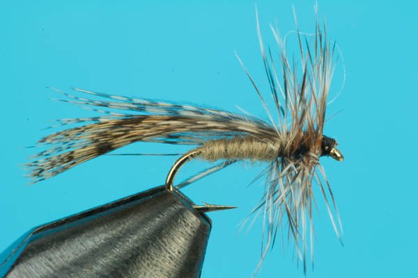 Spent Wing Caddis - Hazy Fly Fishing