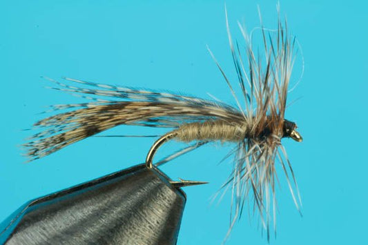 Spent Wing Caddis - Hazy Fly Fishing