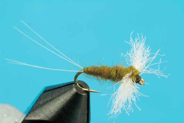 Spinner Callibaetis - Hazy Fly Fishing