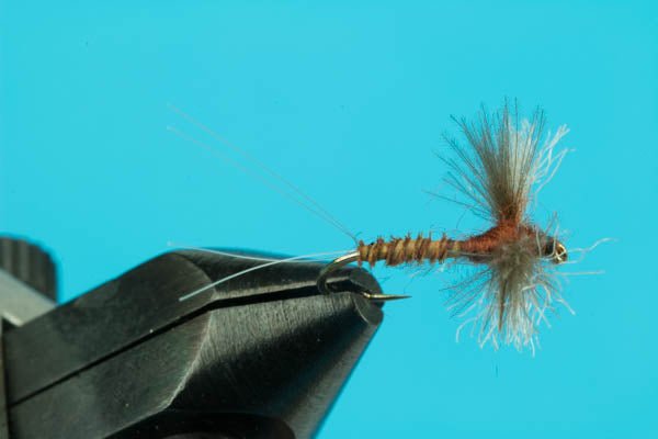Spinner Rusty Biot - Hazy Fly Fishing