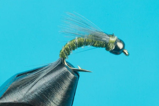 Split Case Emerger - Tungsten - Hazy Fly Fishing