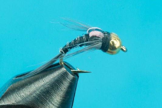 Split Case Emerger - Tungsten - Hazy Fly Fishing