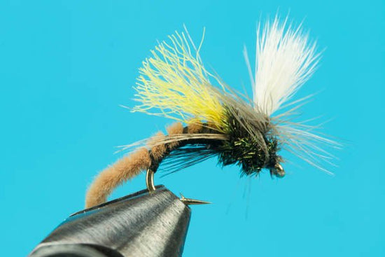 Spotlight Caddis Emerger - Hazy Fly Fishing