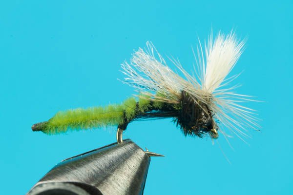 Spotlight Caddis Emerger - Hazy Fly Fishing