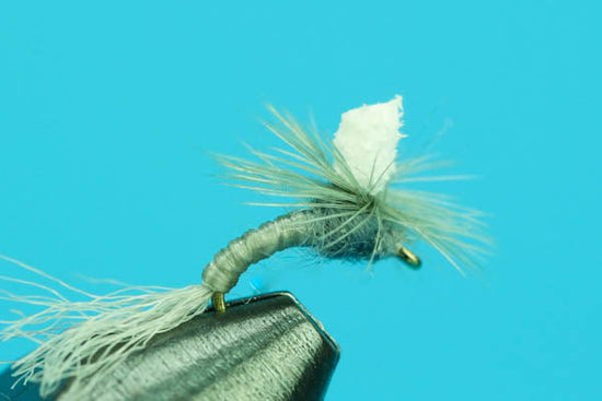 Sprout Midge Emerger - Hazy Fly Fishing